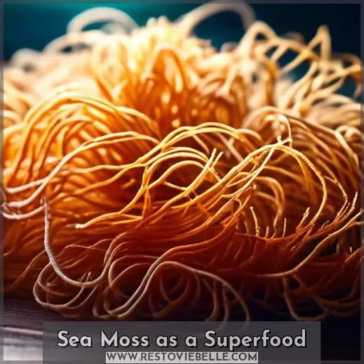 Sea Moss as a Superfood