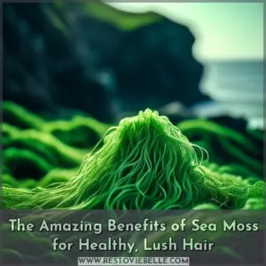 sea moss for your hair