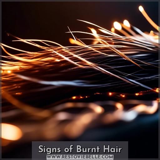 Signs of Burnt Hair