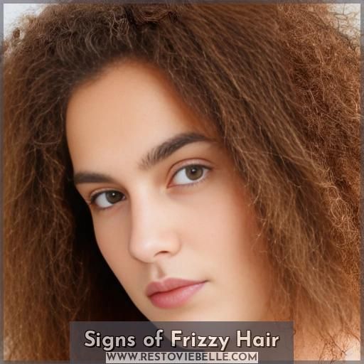 Signs of Frizzy Hair