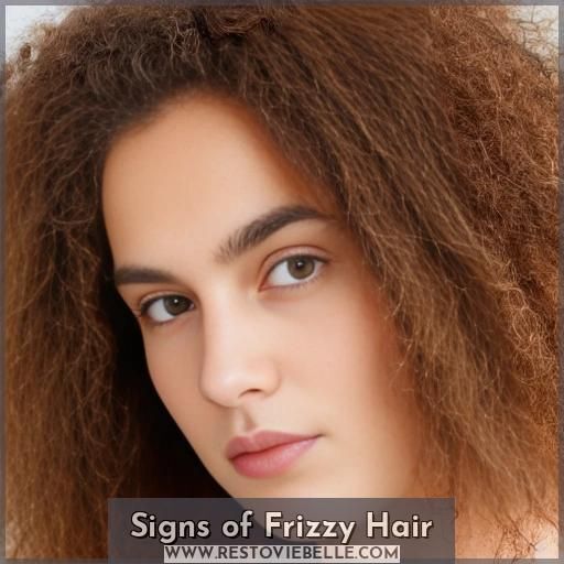 Signs of Frizzy Hair Signs of Frizzy Hair