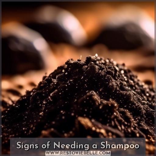 Signs of Needing a Shampoo