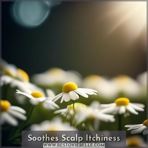 Soothes Scalp Itchiness Soothes Scalp Itchiness