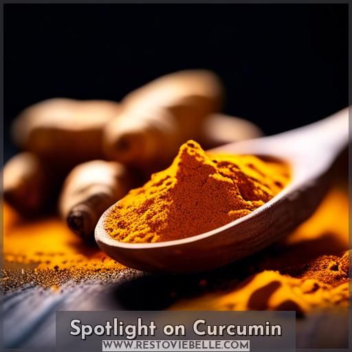 Spotlight on Curcumin