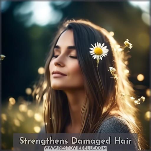 Strengthens Damaged Hair