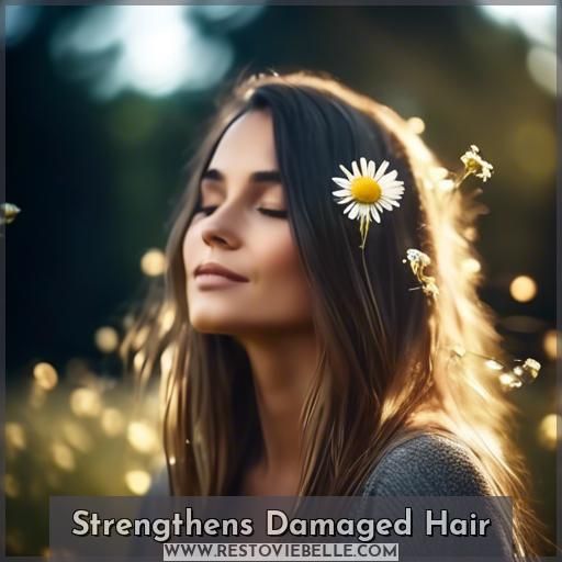 Strengthens Damaged Hair Strengthens Damaged Hair