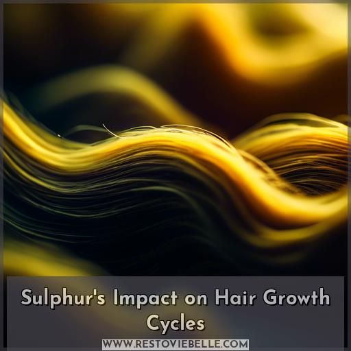 Sulphur's Impact on Hair Growth Cycles Sulphur's Impact on Hair Growth Cycles