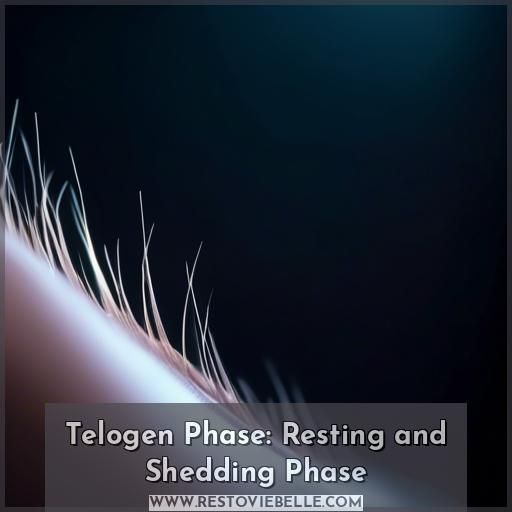 Telogen Phase: Resting and Shedding Phase