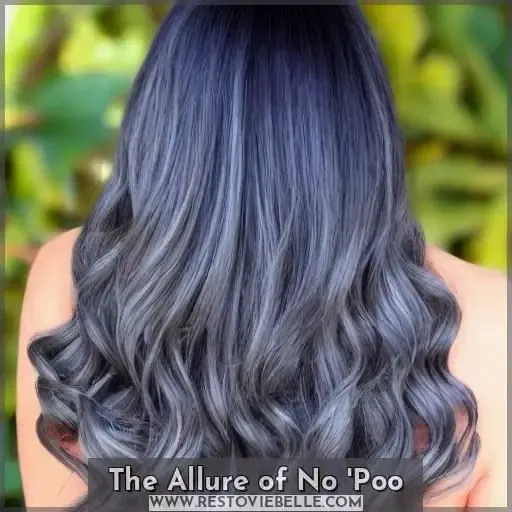 The Allure of No
