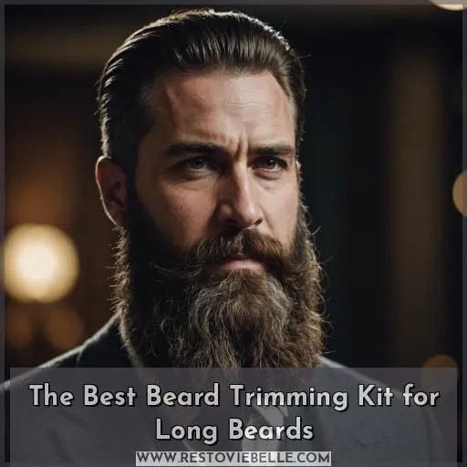The Best Beard Trimming Kit for Long Beards
