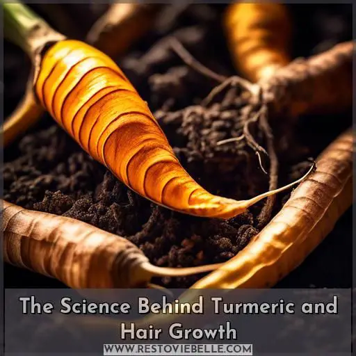 The Science Behind Turmeric and Hair Growth