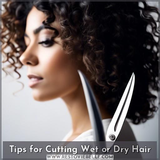 Tips for Cutting Wet or Dry Hair
