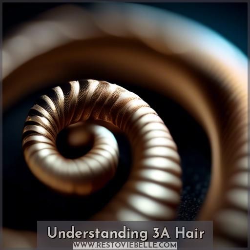 Understanding 3A Hair
