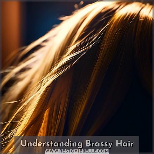 Understanding Brassy Hair
