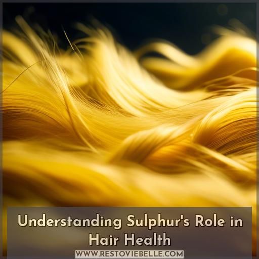 Understanding Sulphur's Role in Hair Health Understanding Sulphur's Role in Hair Health