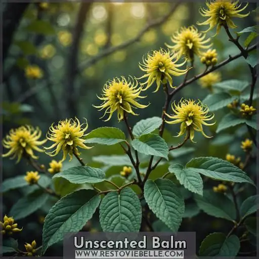Unscented Balm