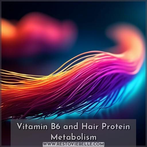 Vitamin B6 and Hair Protein Metabolism