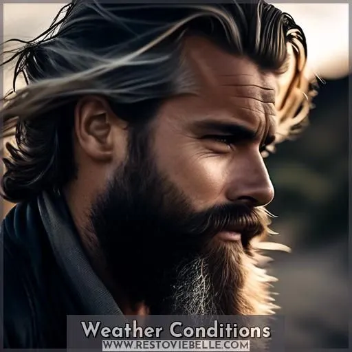 Weather Conditions
