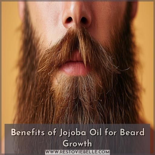 Benefits of Jojoba Oil for Beard Growth Benefits of Jojoba Oil for Beard Growth