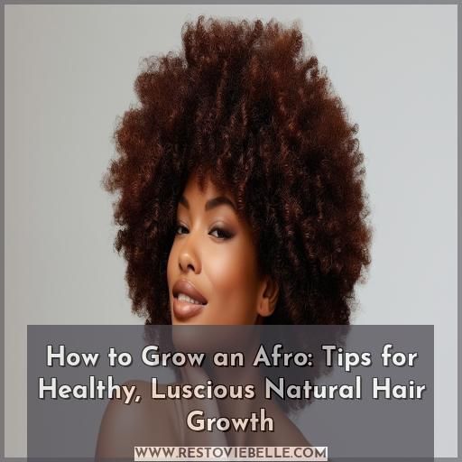how to grow an afro how to grow an afro