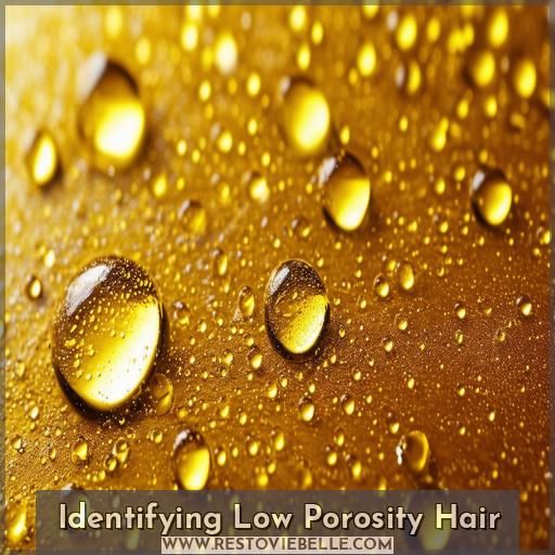 Identifying Low Porosity Hair Identifying Low Porosity Hair