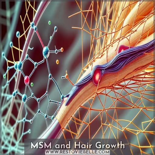 MSM and Hair Growth MSM and Hair Growth