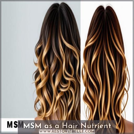 MSM as a Hair Nutrient MSM as a Hair Nutrient