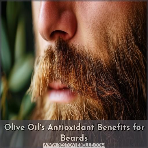 Olive Oil's Antioxidant Benefits for Beards Olive Oil's Antioxidant Benefits for Beards
