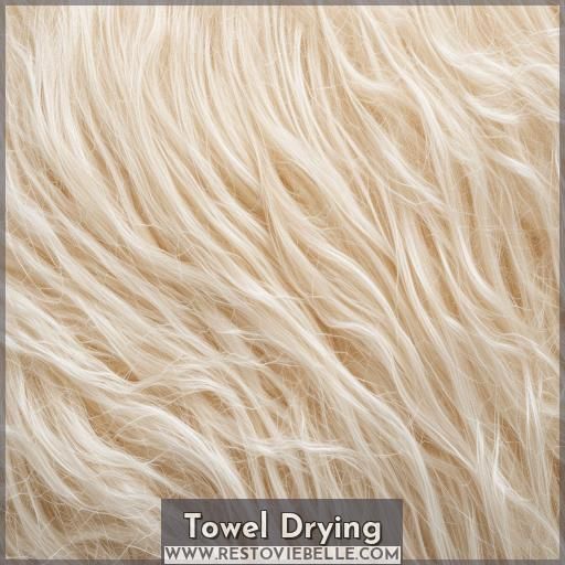 Towel Drying Towel Drying