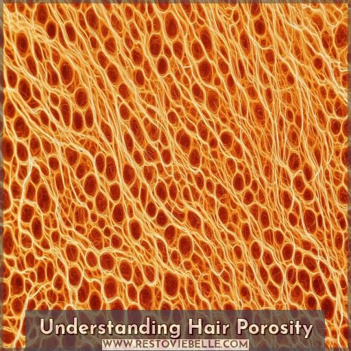Understanding Hair Porosity Understanding Hair Porosity