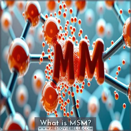 What is MSM What is MSM