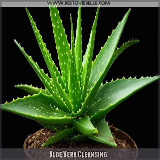 Aloe Vera Cleansing