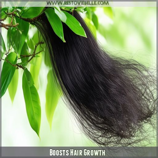 Boosts Hair Growth Boosts Hair Growth
