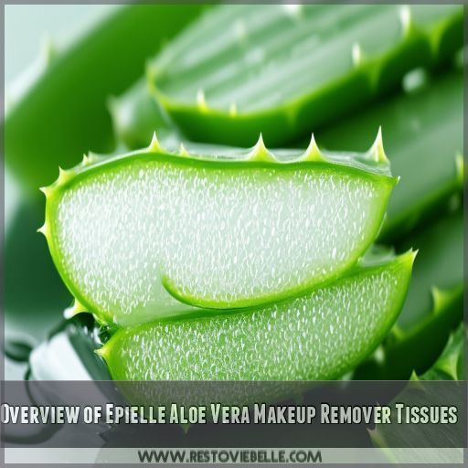Overview of Epielle Aloe Vera Makeup Remover Tissues Overview of Epielle Aloe Vera Makeup Remover Tissues