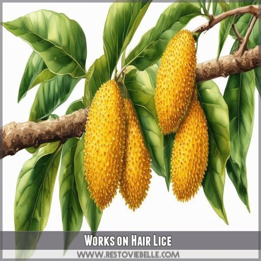 Works on Hair Lice Works on Hair Lice