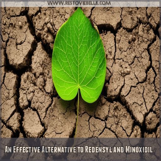 An Effective Alternative to Redensyl and Minoxidil An Effective Alternative to Redensyl and Minoxidil