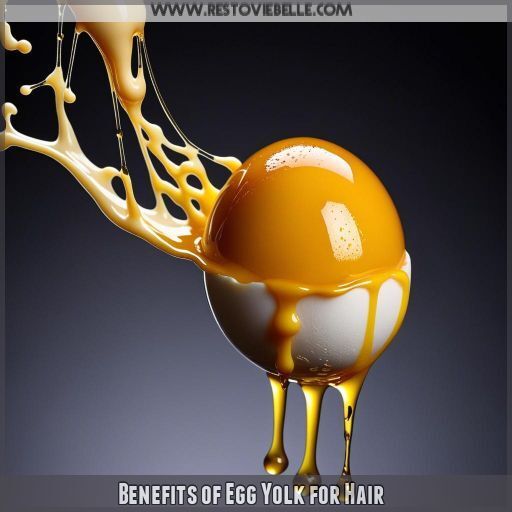 Benefits of Egg Yolk for Hair Benefits of Egg Yolk for Hair
