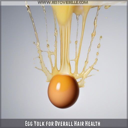 Egg Yolk for Overall Hair Health Egg Yolk for Overall Hair Health