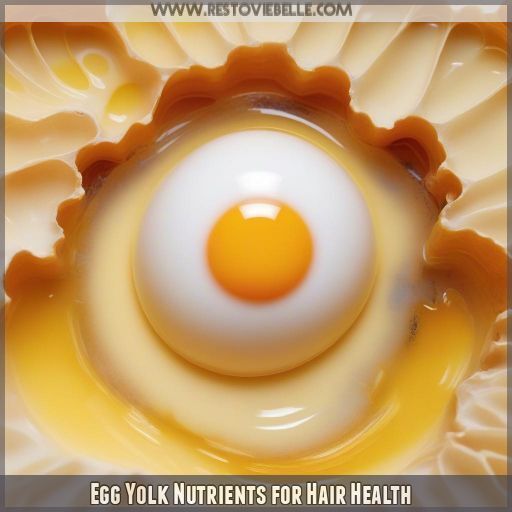 Egg Yolk Nutrients for Hair Health Egg Yolk Nutrients for Hair Health