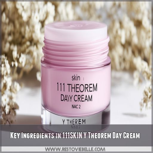 Key Ingredients in 111SKIN Y Theorem Day Cream Key Ingredients in 111SKIN Y Theorem Day Cream
