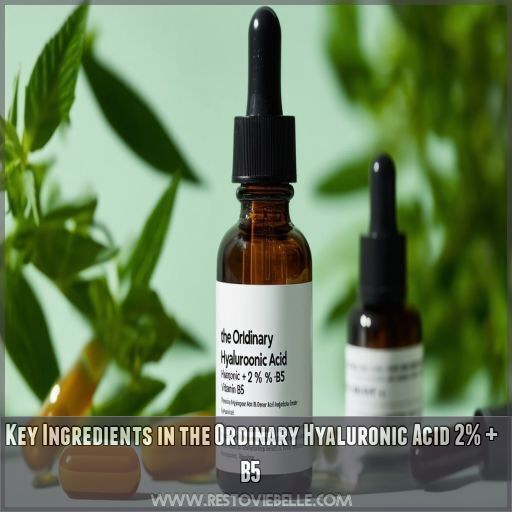 Key Ingredients in the Ordinary Hyaluronic Acid 2% + B5 Key Ingredients in the Ordinary Hyaluronic Acid 2% + B5