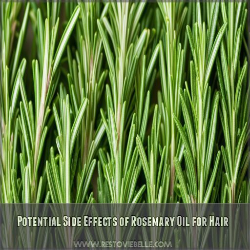 Potential Side Effects of Rosemary Oil for Hair Potential Side Effects of Rosemary Oil for Hair