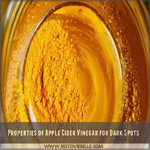 Properties of Apple Cider Vinegar for Dark Spots Properties of Apple Cider Vinegar for Dark Spots