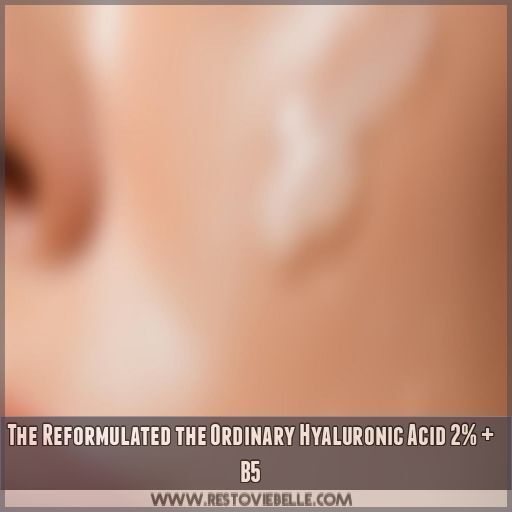 The Reformulated the Ordinary Hyaluronic Acid 2% + B5 The Reformulated the Ordinary Hyaluronic Acid 2% + B5
