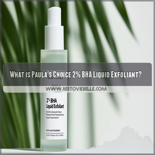 What is Paula's Choice 2% BHA Liquid Exfoliant What is Paula's Choice 2% BHA Liquid Exfoliant
