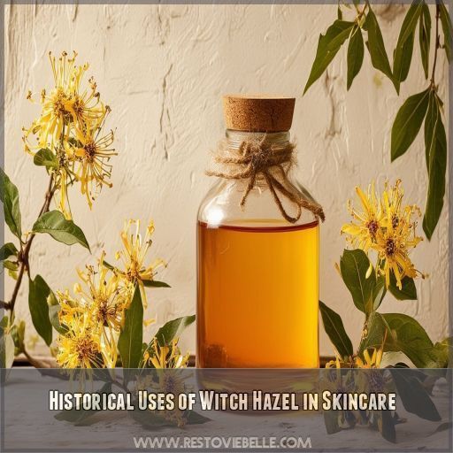 Historical Uses of Witch Hazel in Skincare Historical Uses of Witch Hazel in Skincare