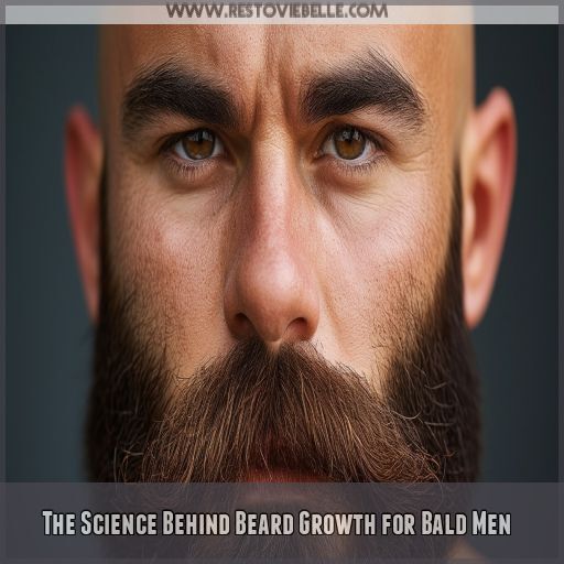 The Science Behind Beard Growth for Bald Men The Science Behind Beard Growth for Bald Men