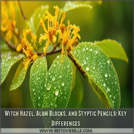 Witch Hazel, Alum Blocks, and Styptic Pencils: Key Differences Witch Hazel, Alum Blocks, and Styptic Pencils: Key Differences