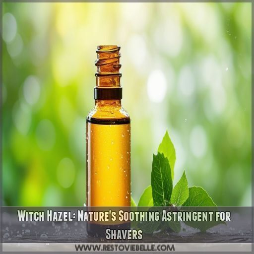 Witch Hazel: Nature's Soothing Astringent for Shavers Witch Hazel: Nature's Soothing Astringent for Shavers