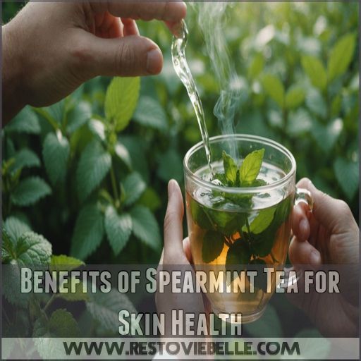 Benefits of Spearmint Tea for Skin Health Benefits of Spearmint Tea for Skin Health